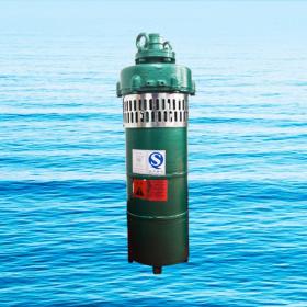 QS小型潛水電泵、QST660V特種電泵